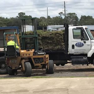 Sod delivery by JSJ Unlimited in Clermont, Florida