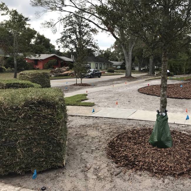 Residential sod delivery by JSJ Unlimited in Groveland, Florida