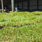 JSJ-Unlimited-Sod-Supply-Groveland-Clermont-Florida