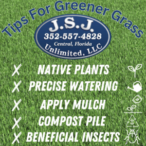 JSJ 5 Tips for greener grass.